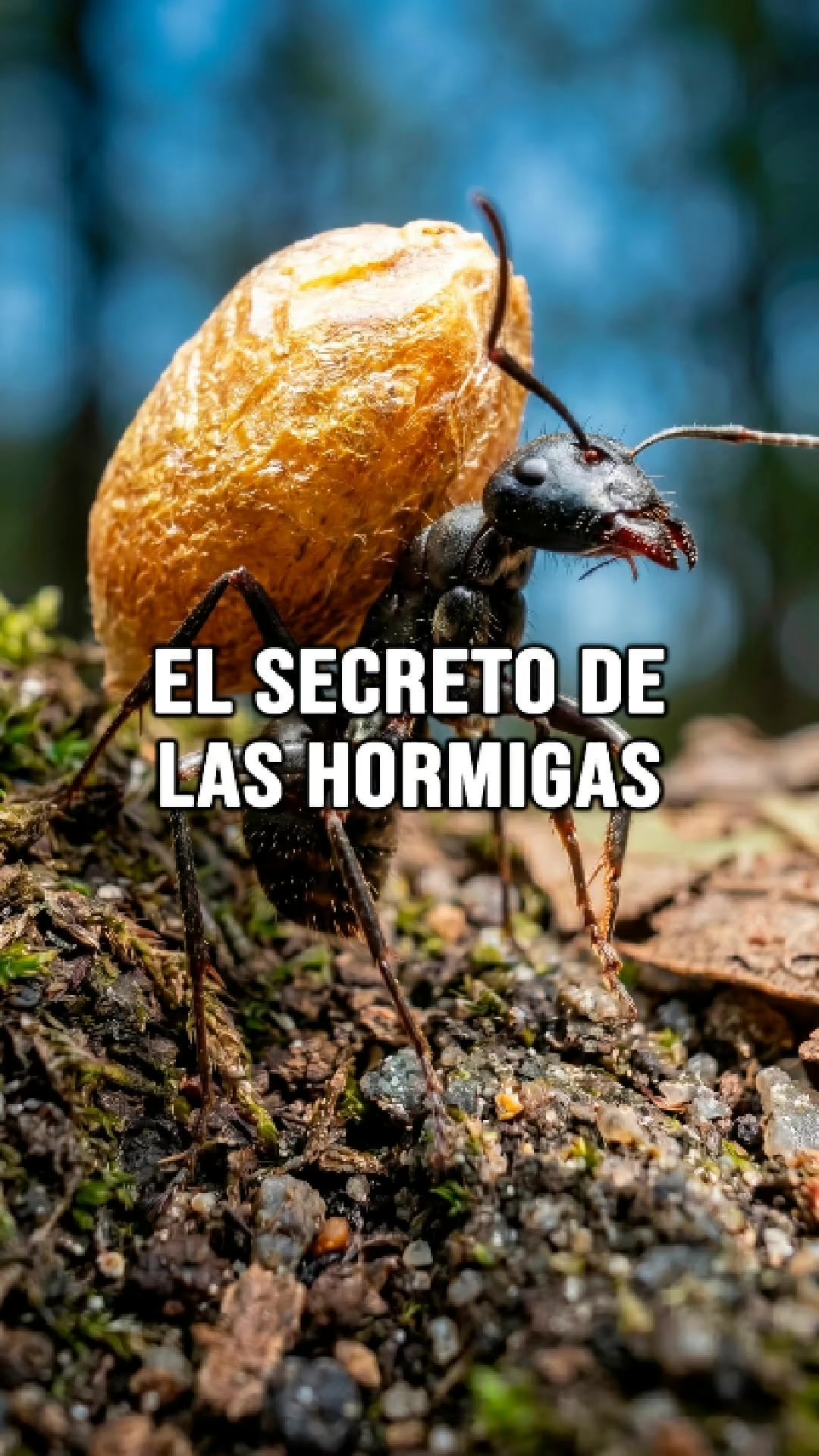 @Reflexiones