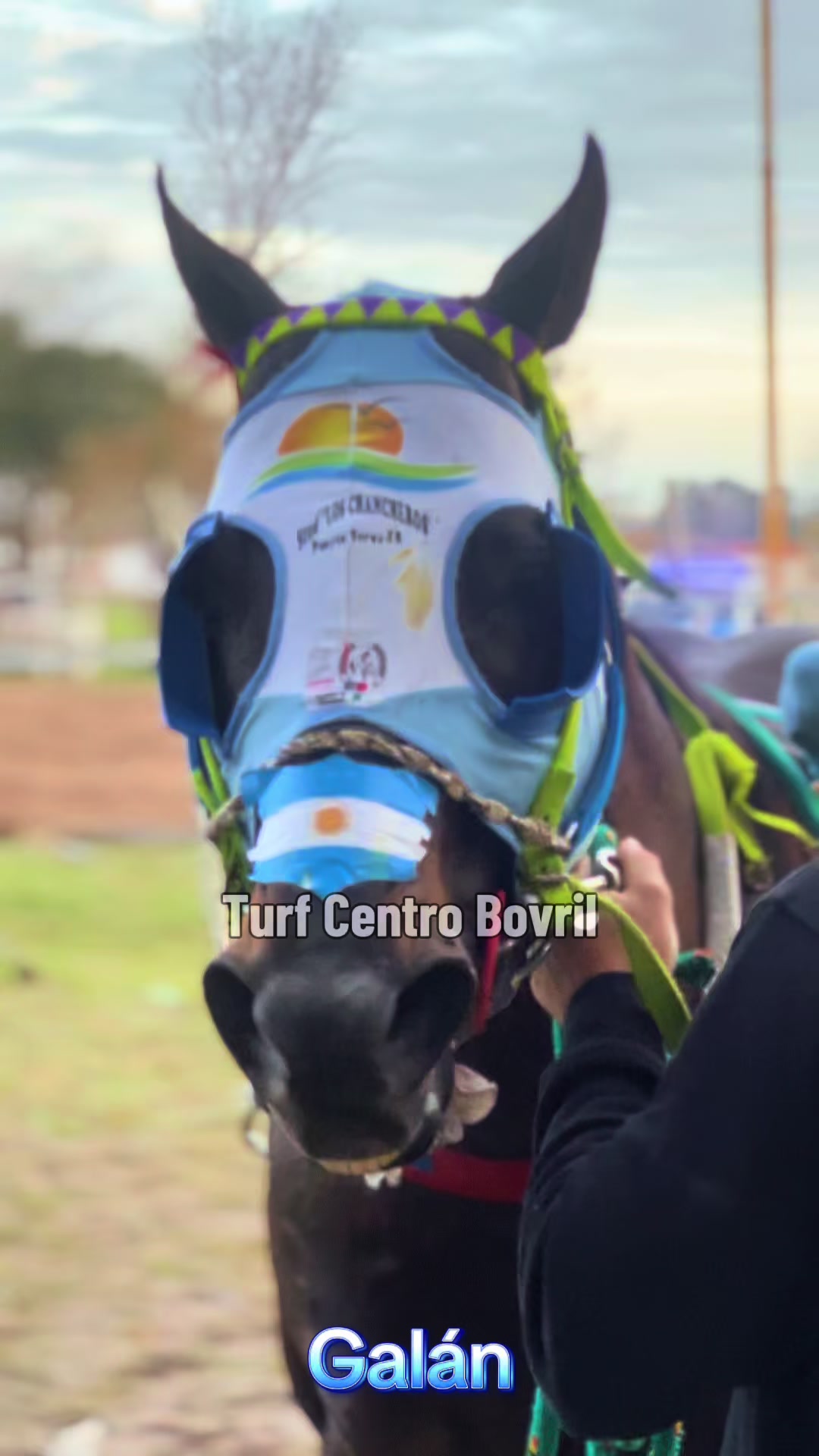 @TURF CENTRO BOVRIL