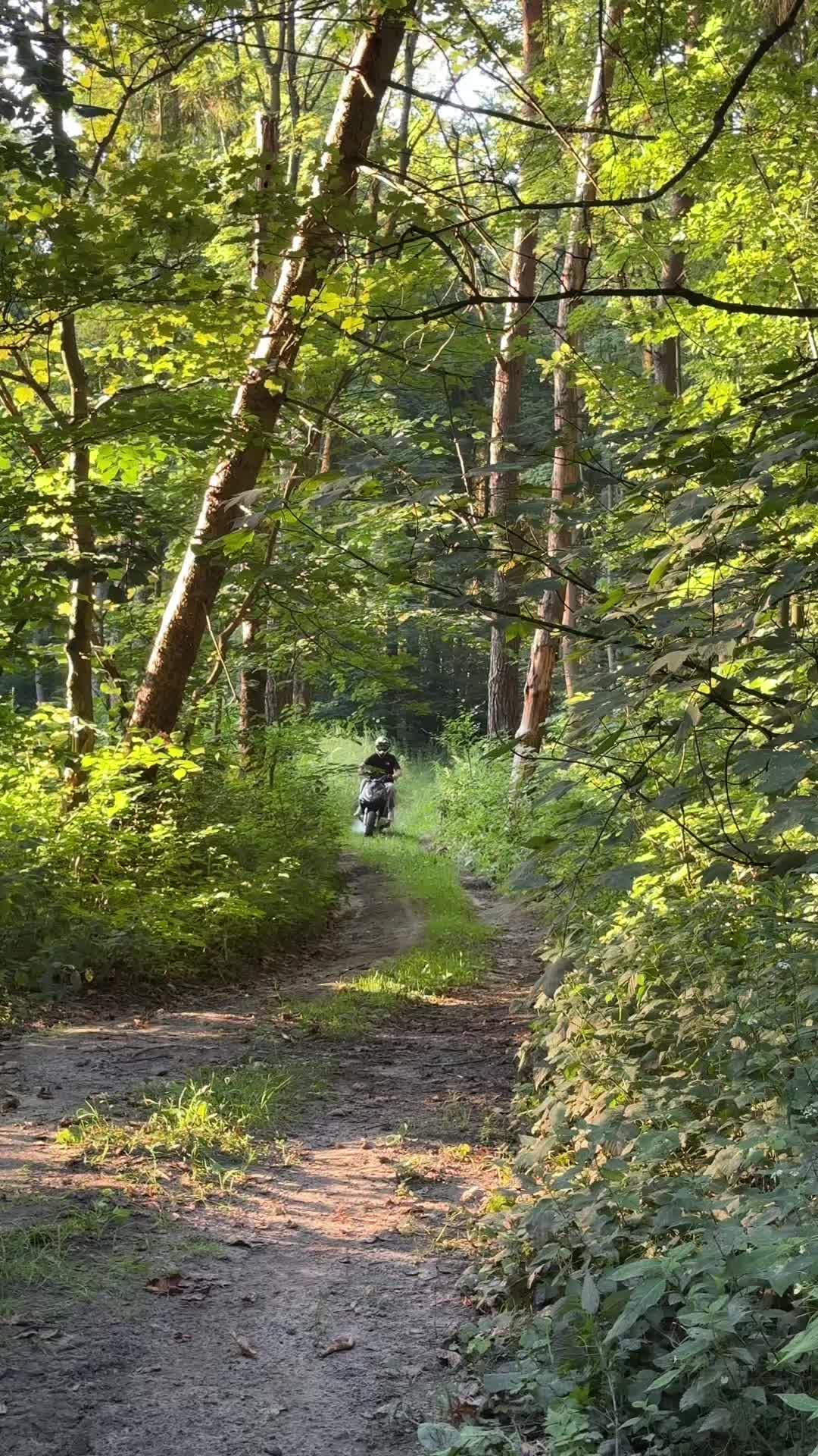 @kvbvrr_sxf_250