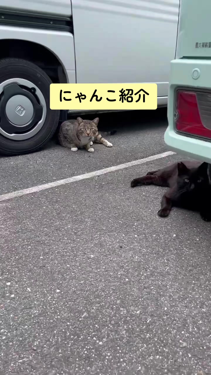 @【公式】株式会社真宮|三重