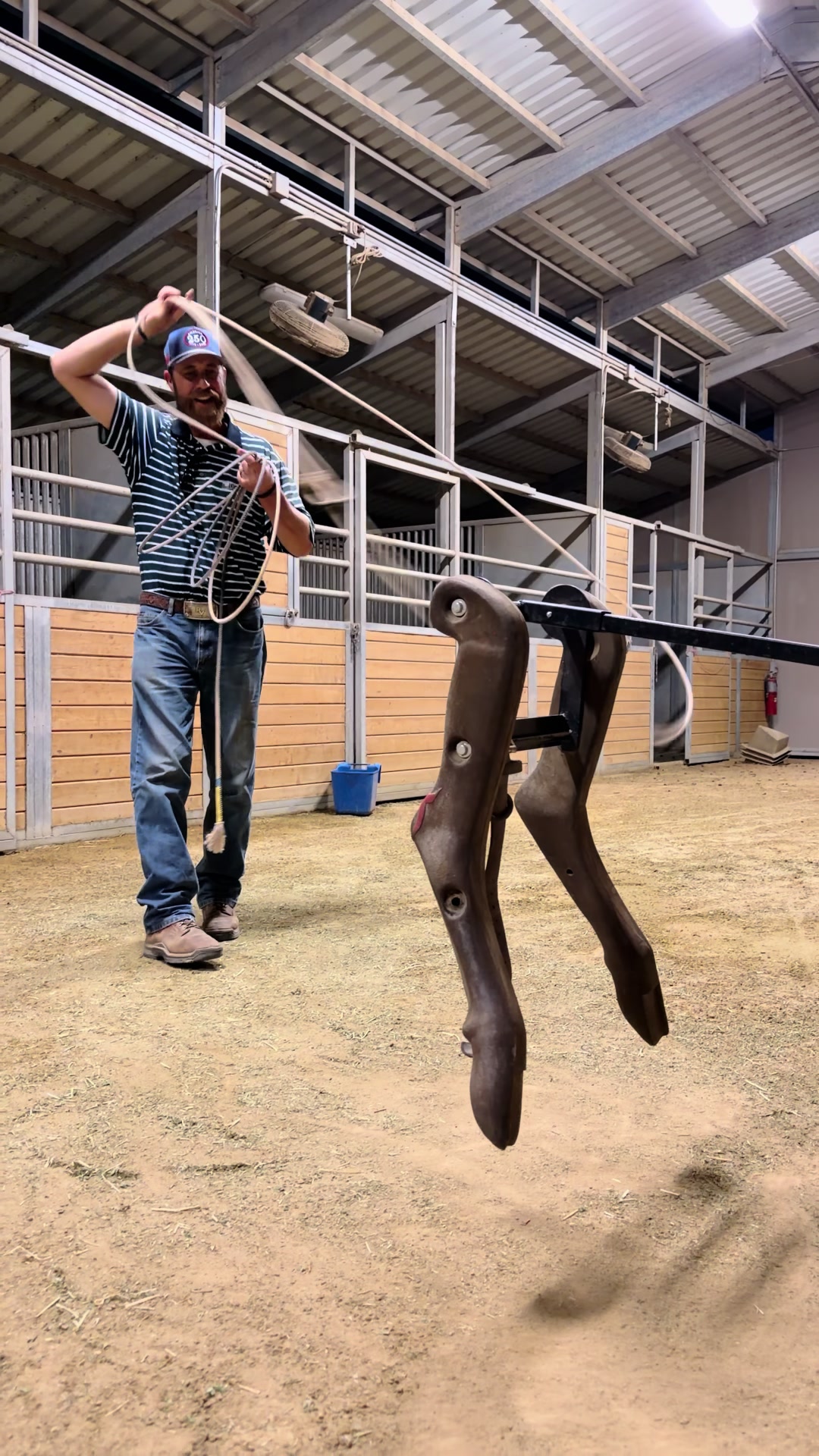 @Cactus Ropes