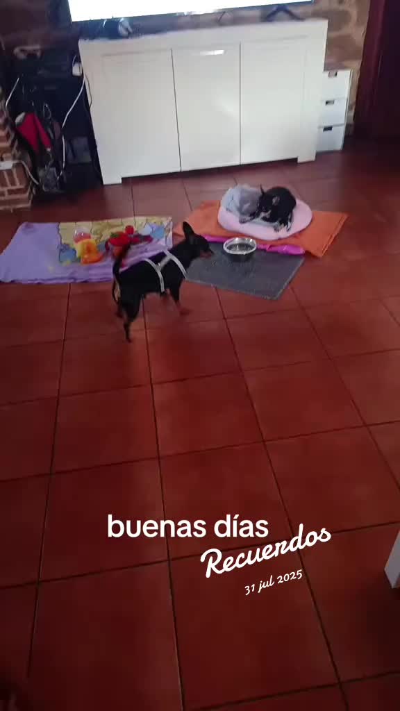 @Martín y Carlota