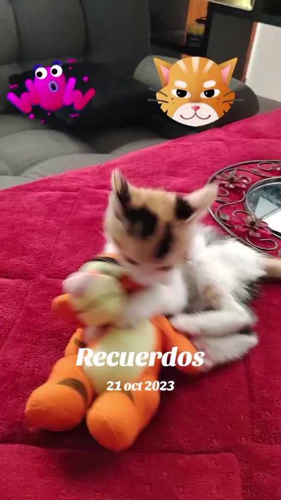 @AXEL VELA