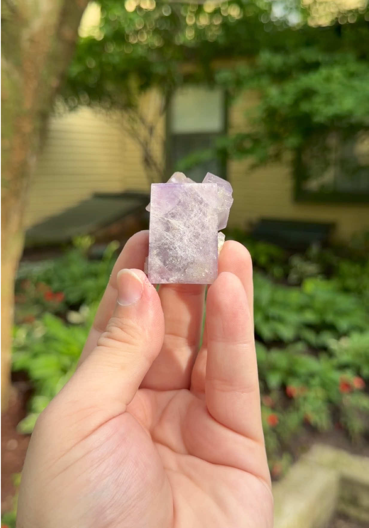 @Minerals by Blake