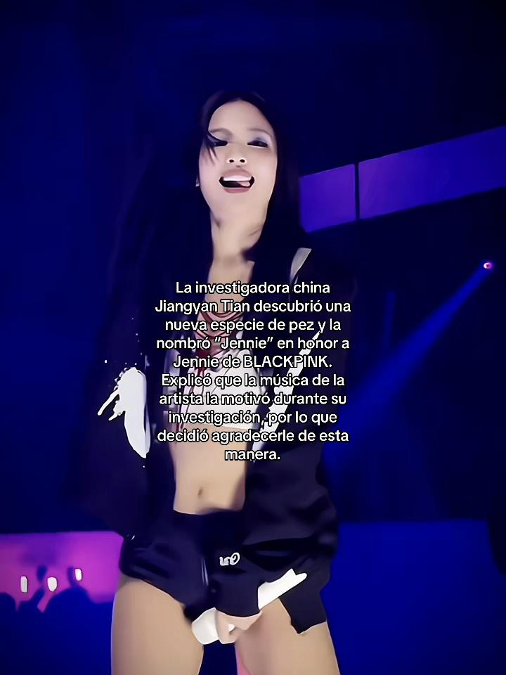 @𝑹𝑼𝑩𝒀⁴
