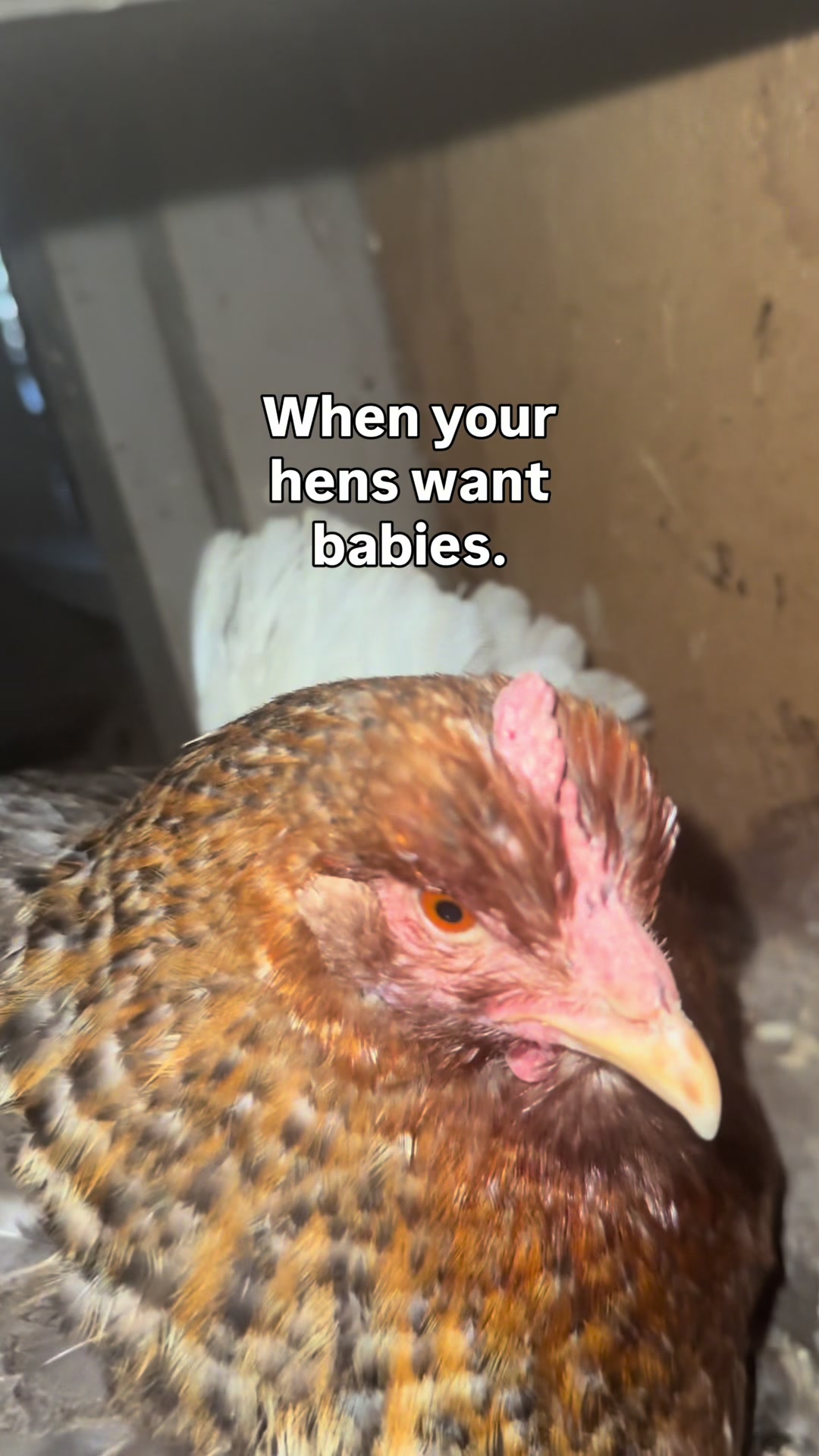 @The Real Estate Chick