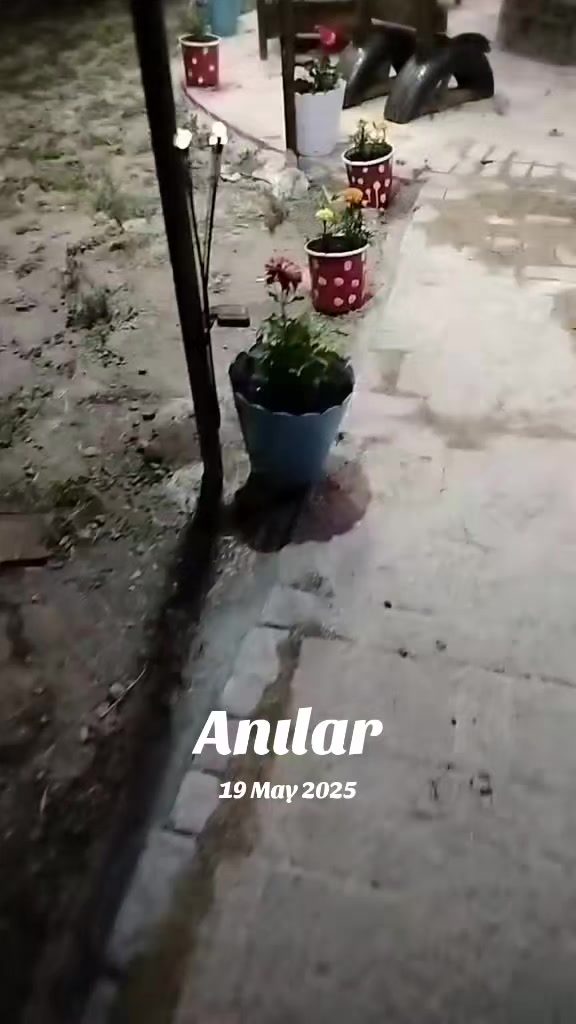 @Temel temizlik