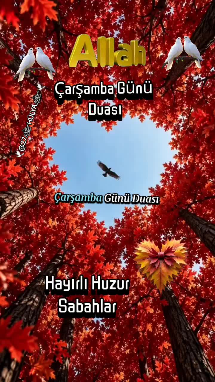 @🕊🌺﷽HÜLYA﷽🌺🕊
