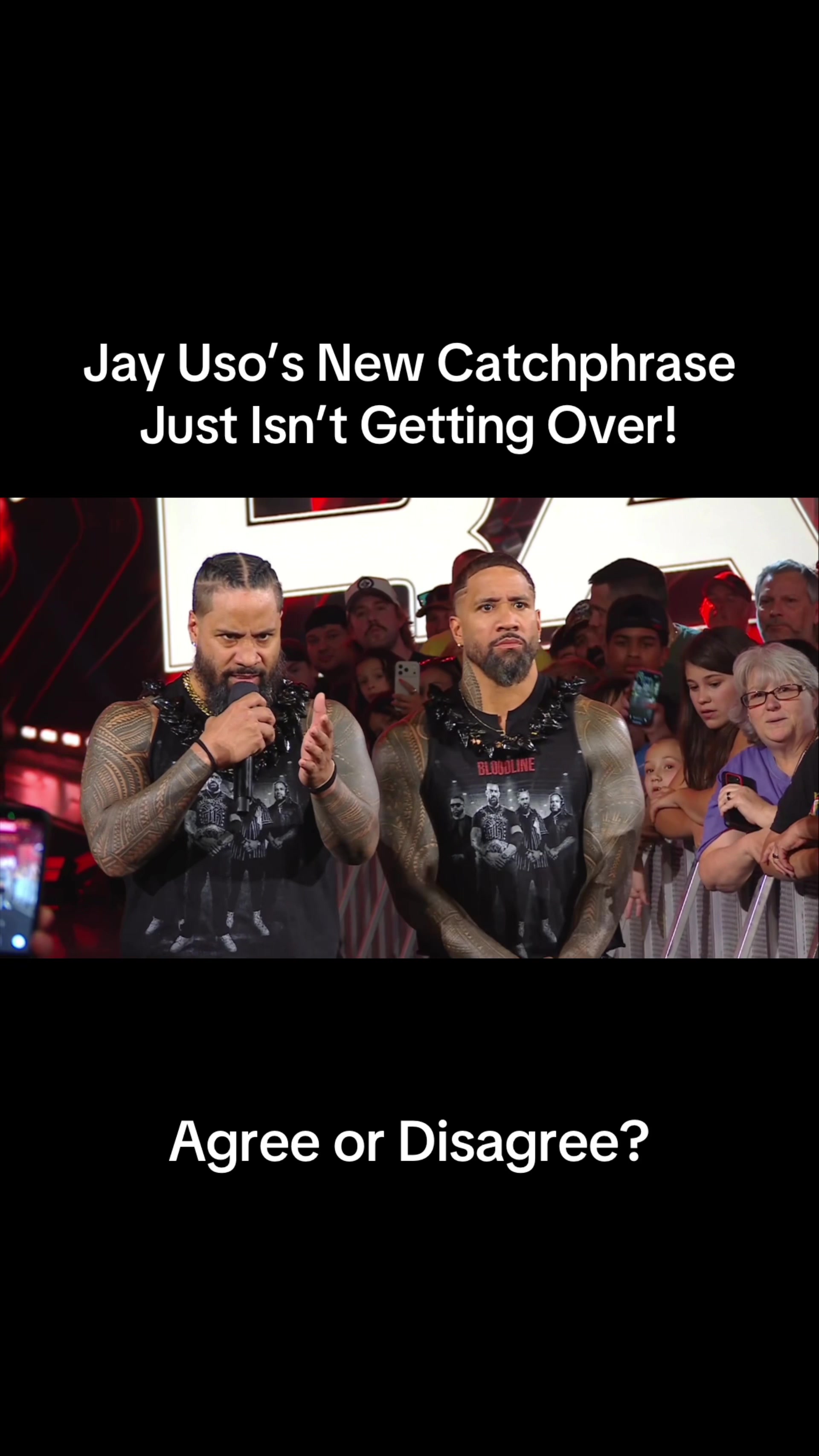 @Internet Wrestling Mark
