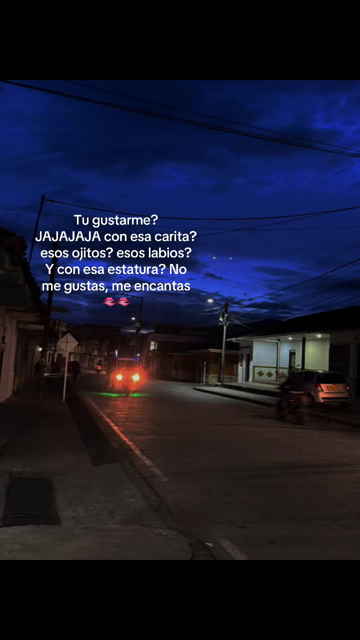 @daniela503.11