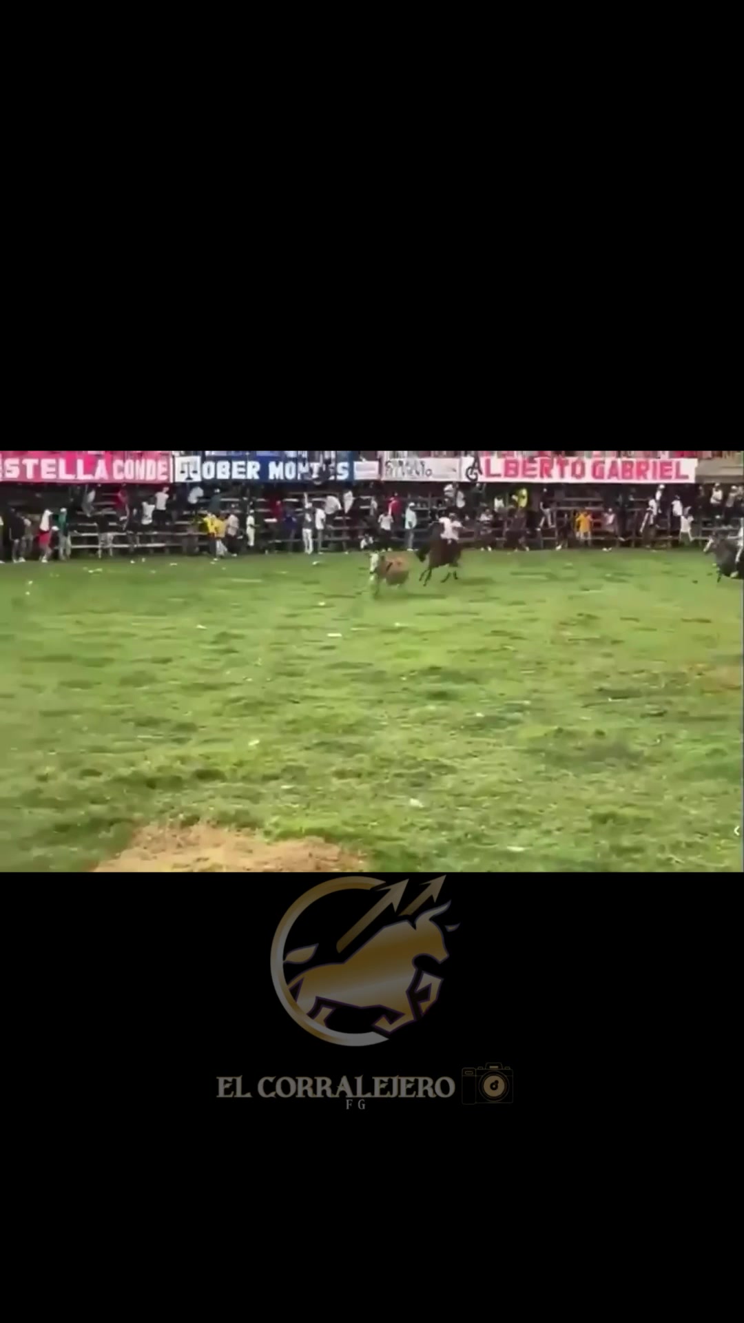 @elcorralejero