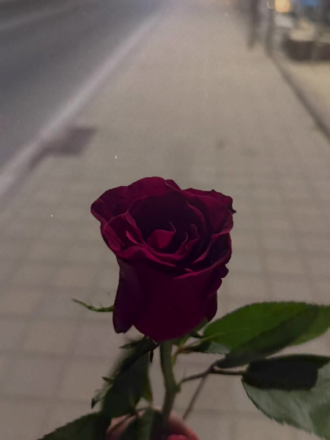 @Edriketa Gj&hellip;