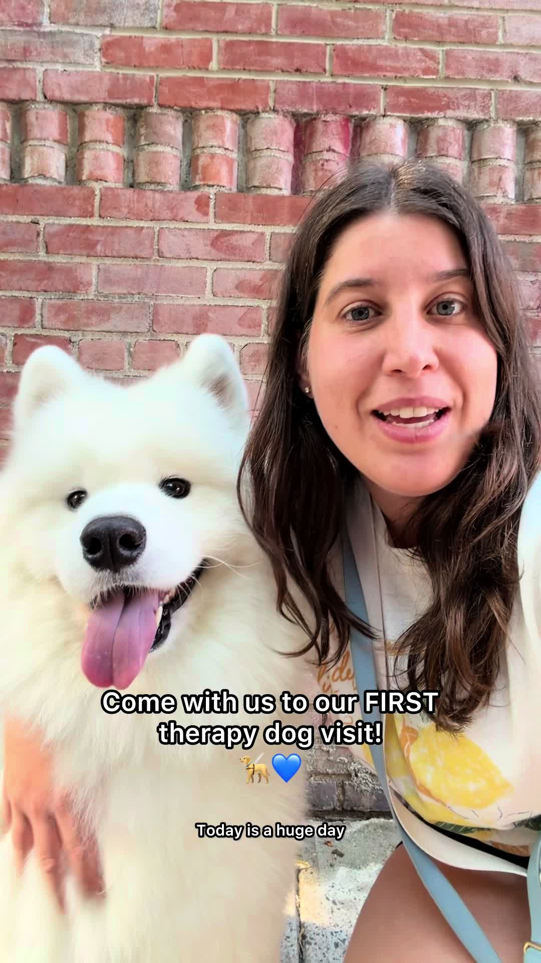 @littlebearlumi
