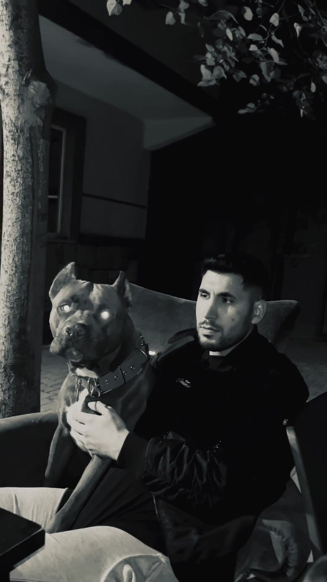 @BARUTBEYY🐶