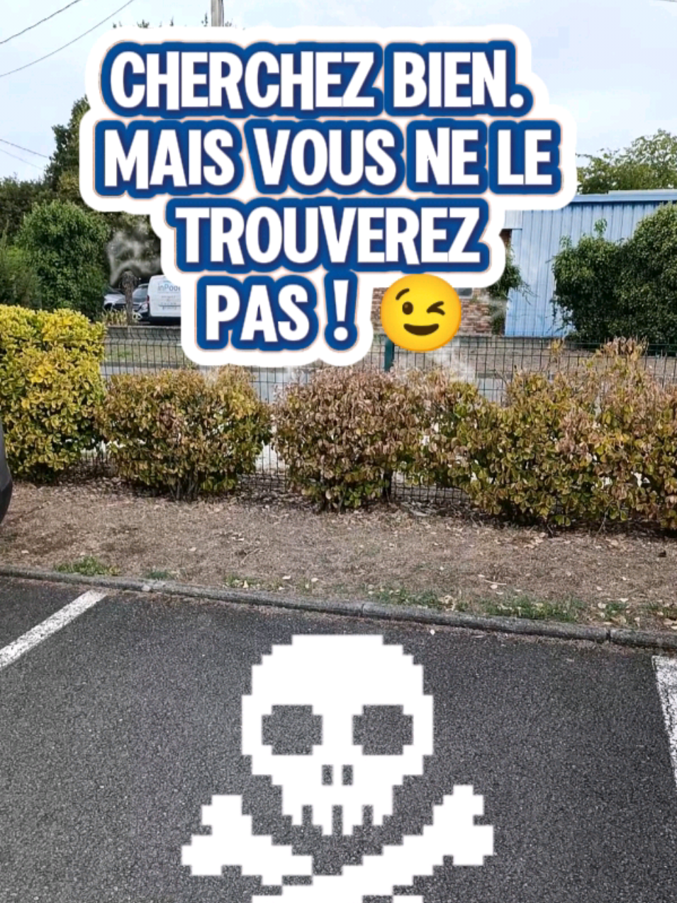 @Médoc Guêpes Frelons Services