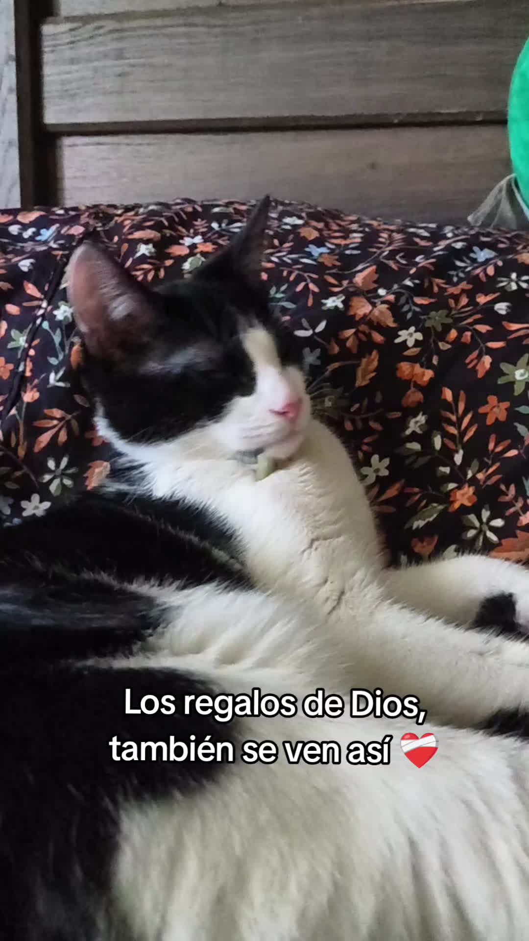 @Geovanna Camargo