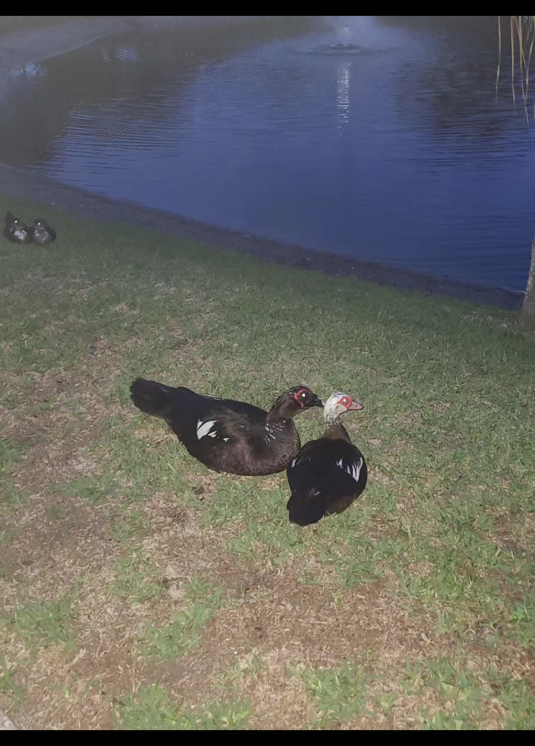 @FloridaLiving