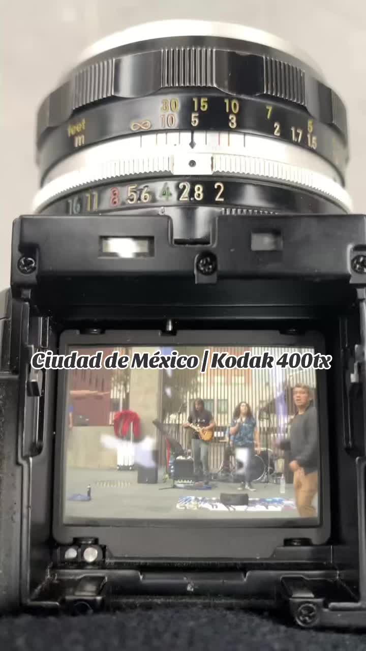 @Alejandro Flores 📷
