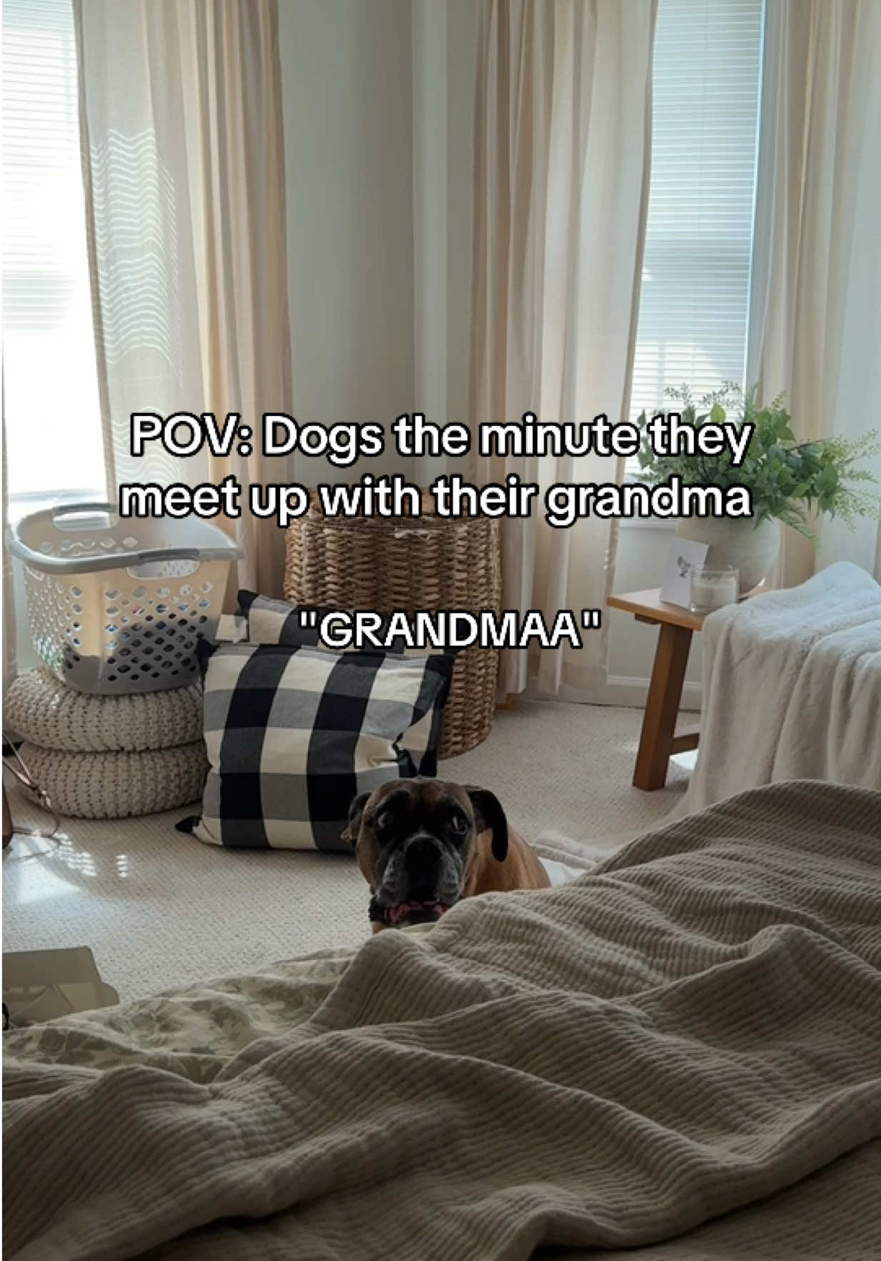 @Princess Poppy
