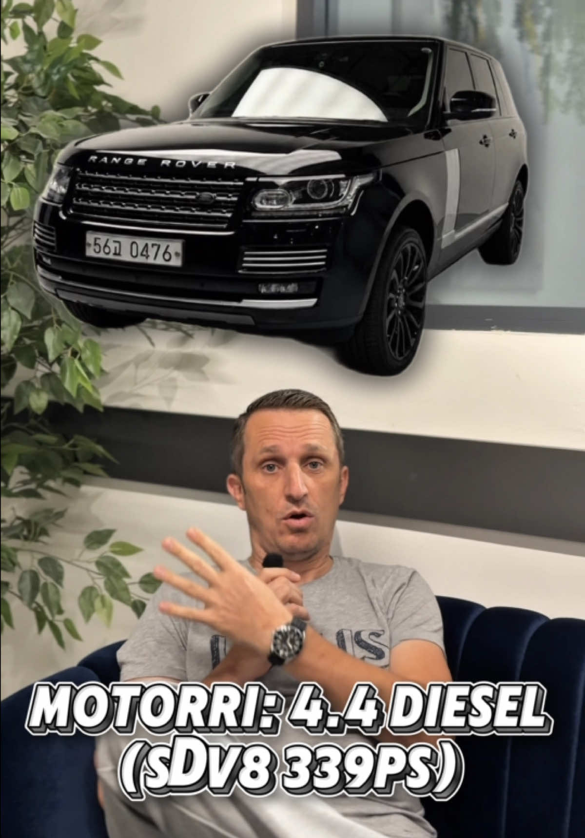 @albkorimport.kosova