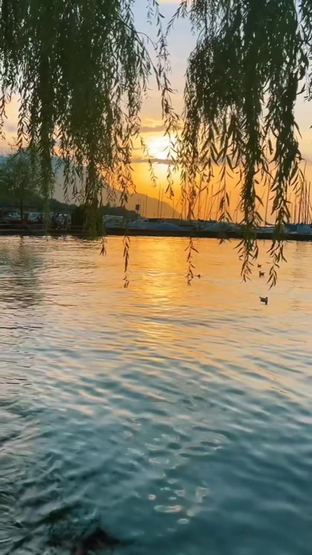 @musa bhai004