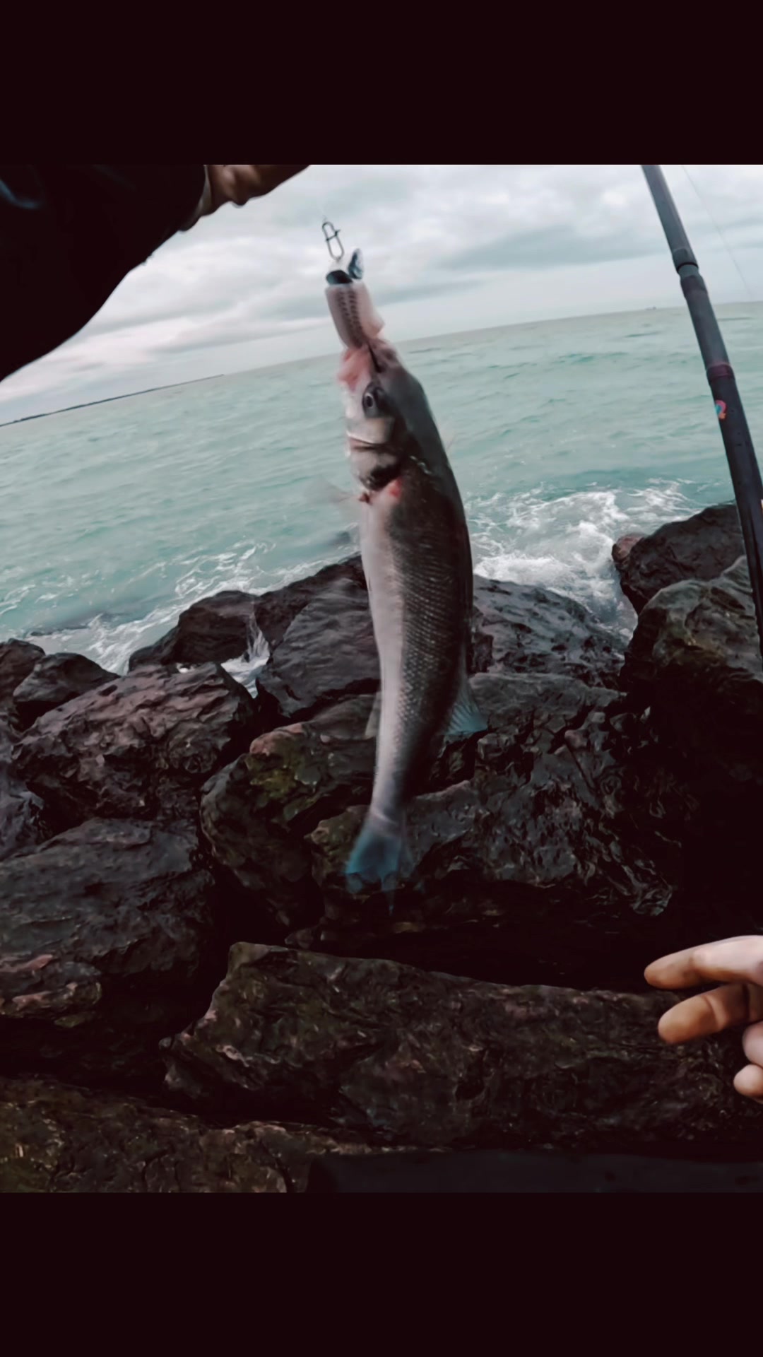 @Yuss Fishing