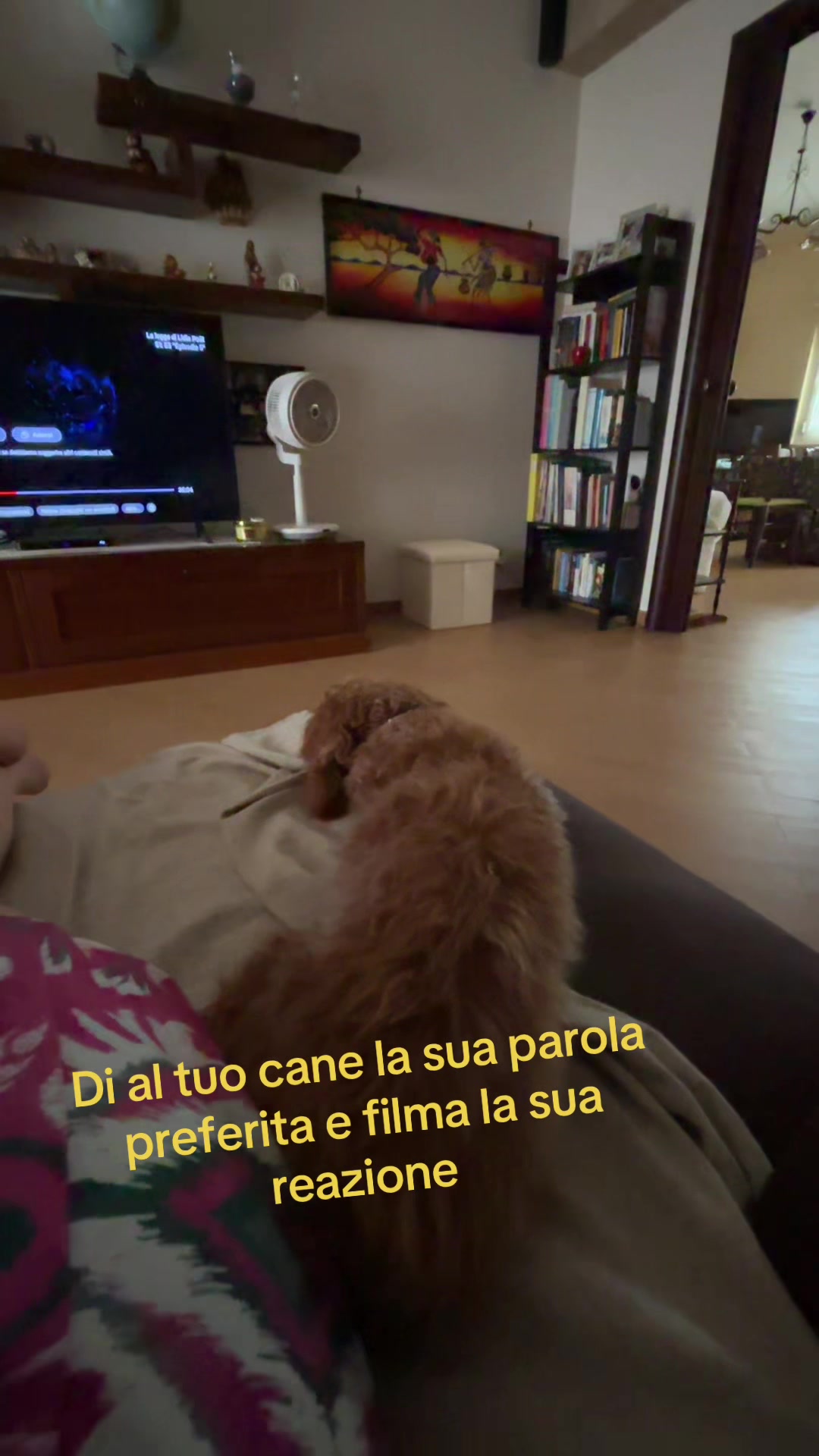 @Claudia Marrone