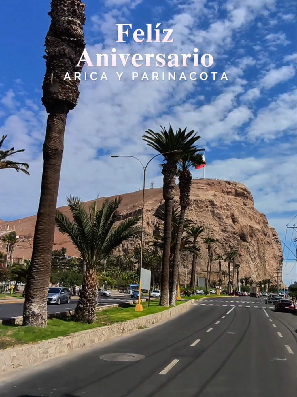 @Arica es Bac&aacute;n