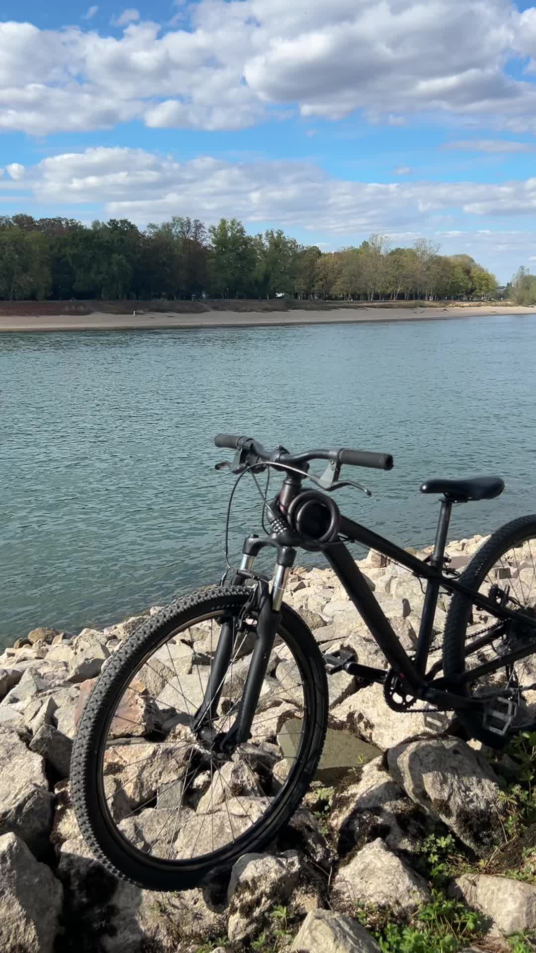 @diar_mtb