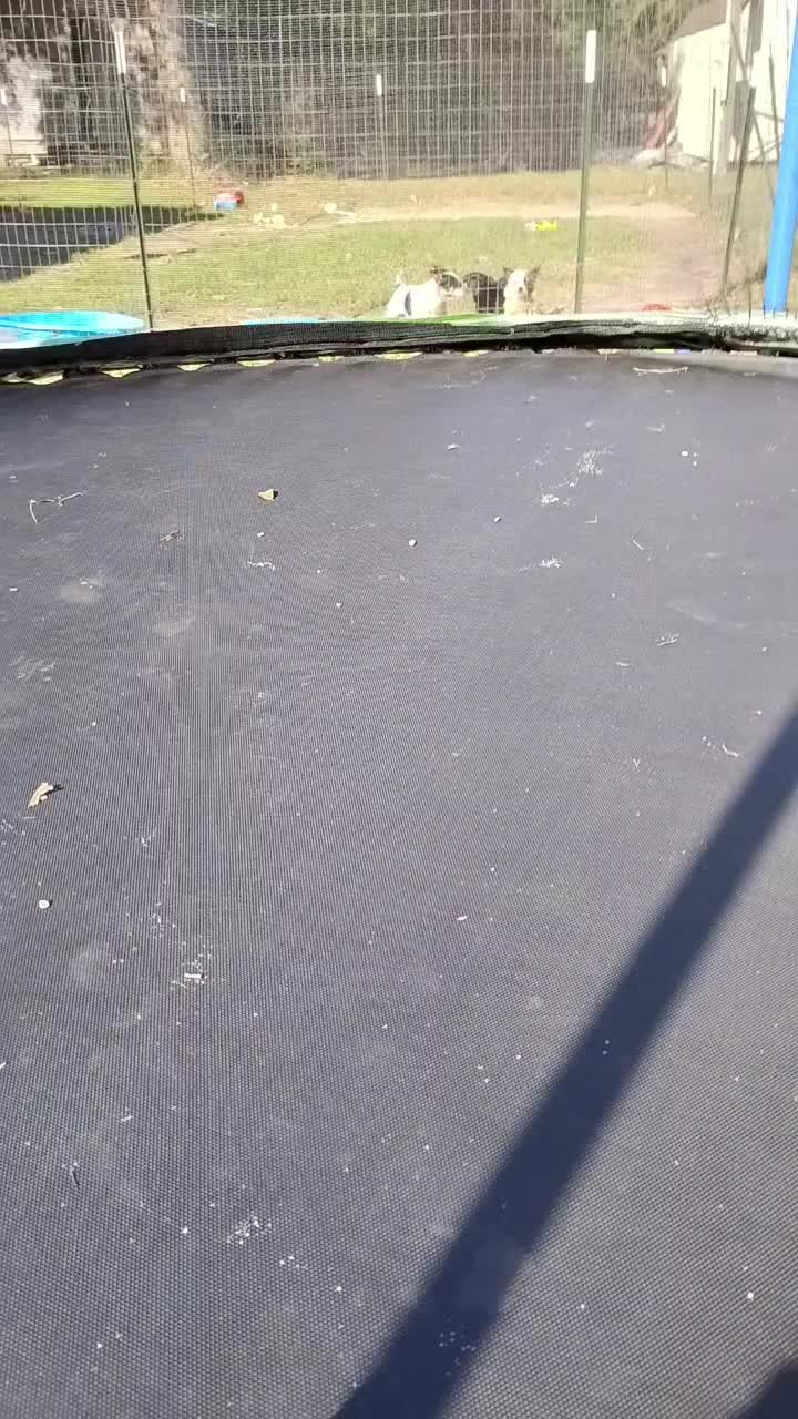 @Skytofly🫣