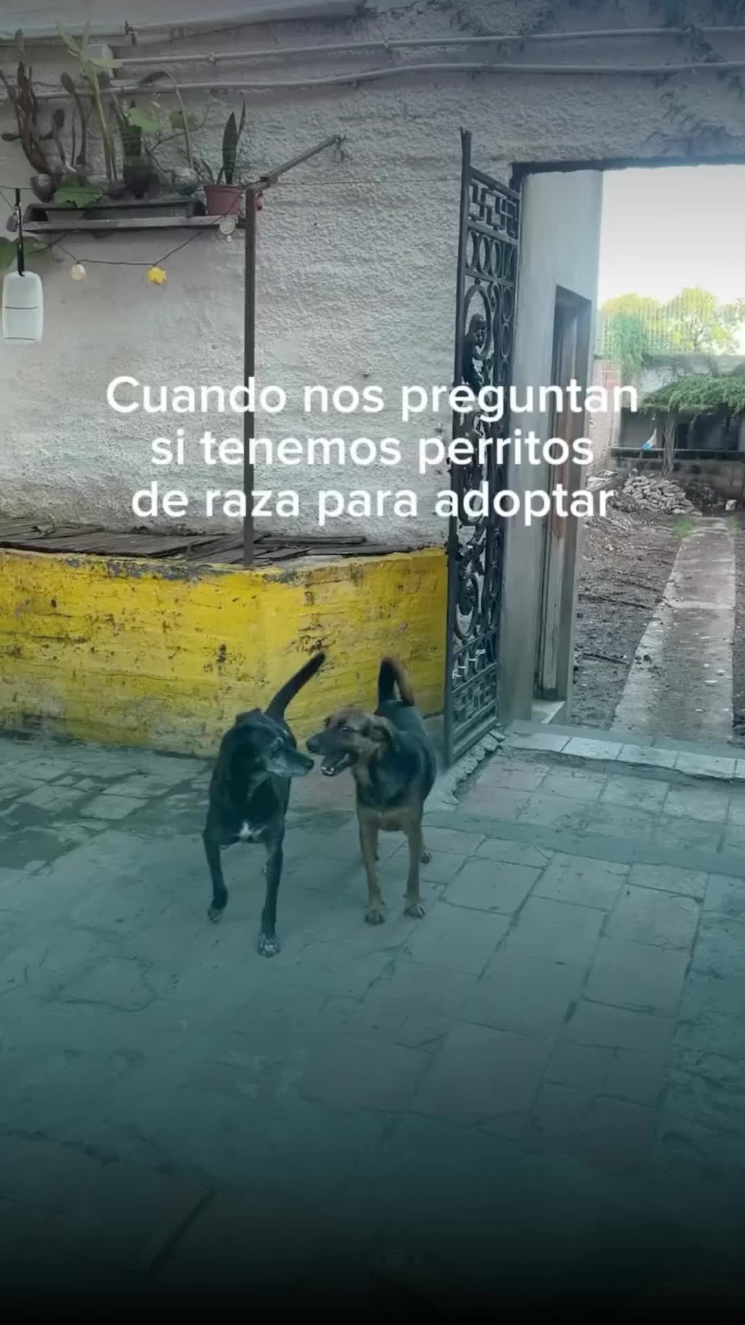 @Entre l&iacute;neas