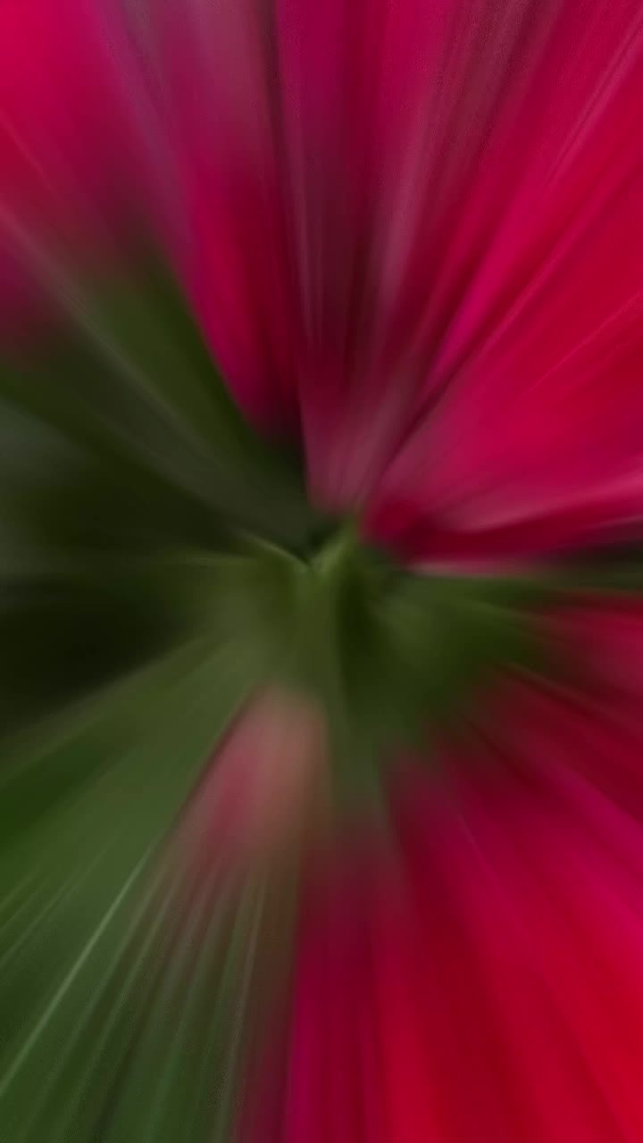 @Gül satışı🌸