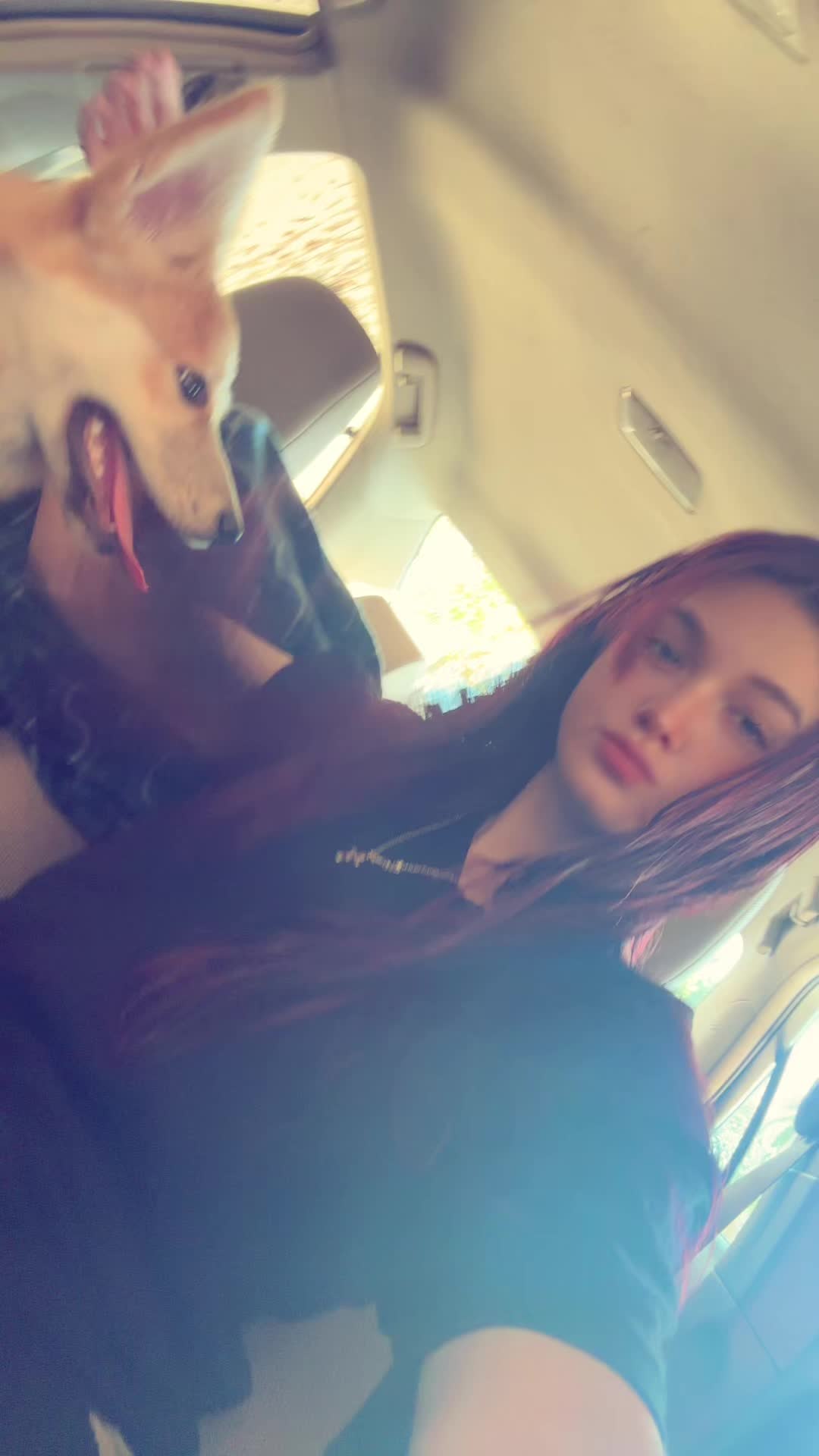@𝓜
