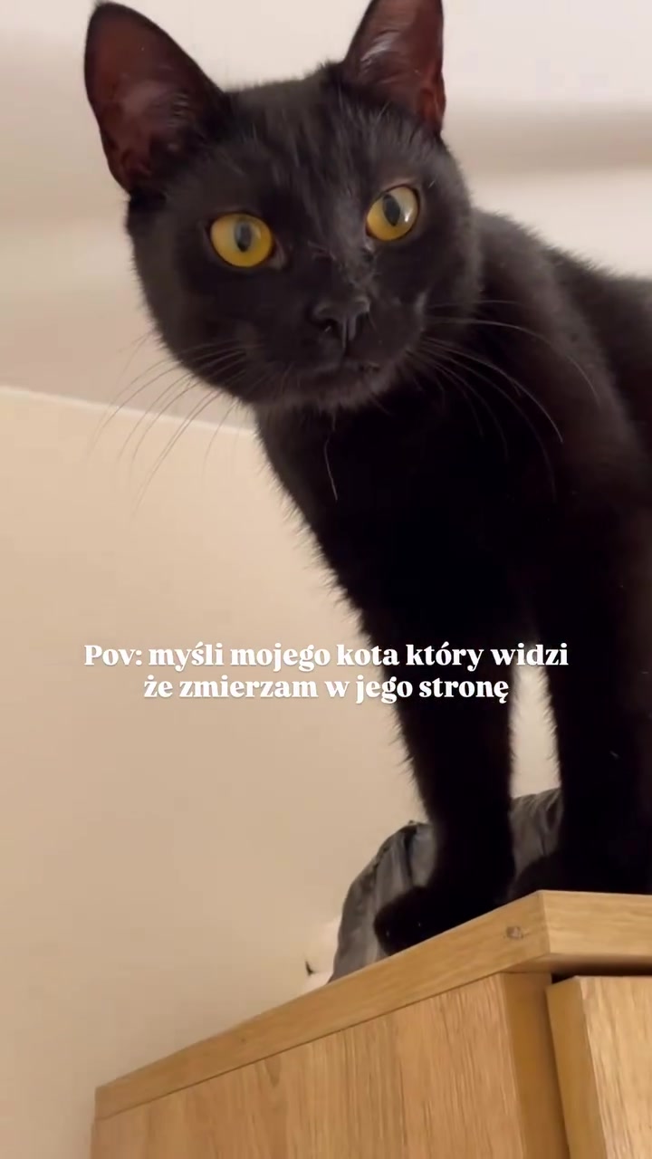 @IG: mrrrtasy