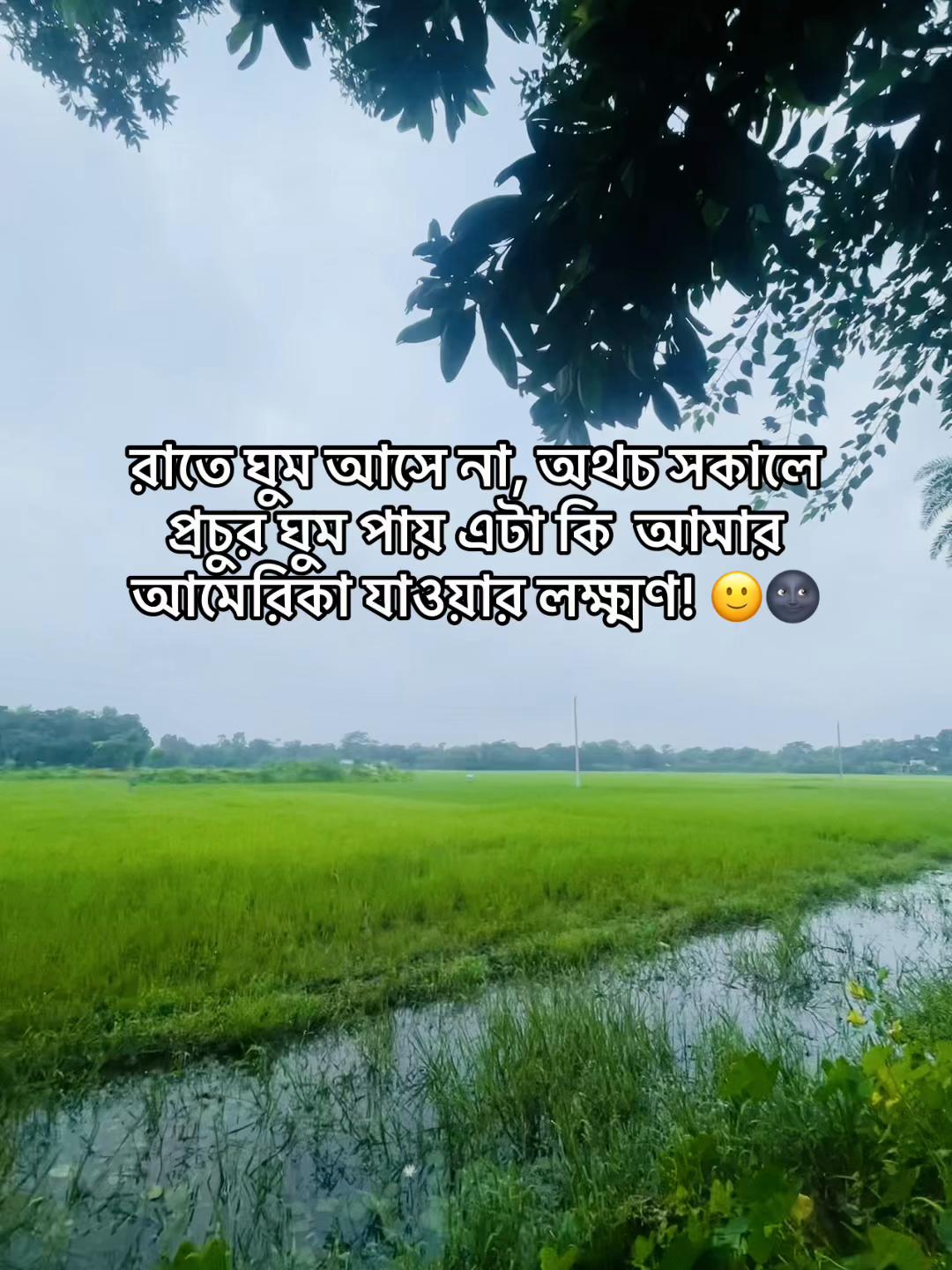 @টিক-টিকি