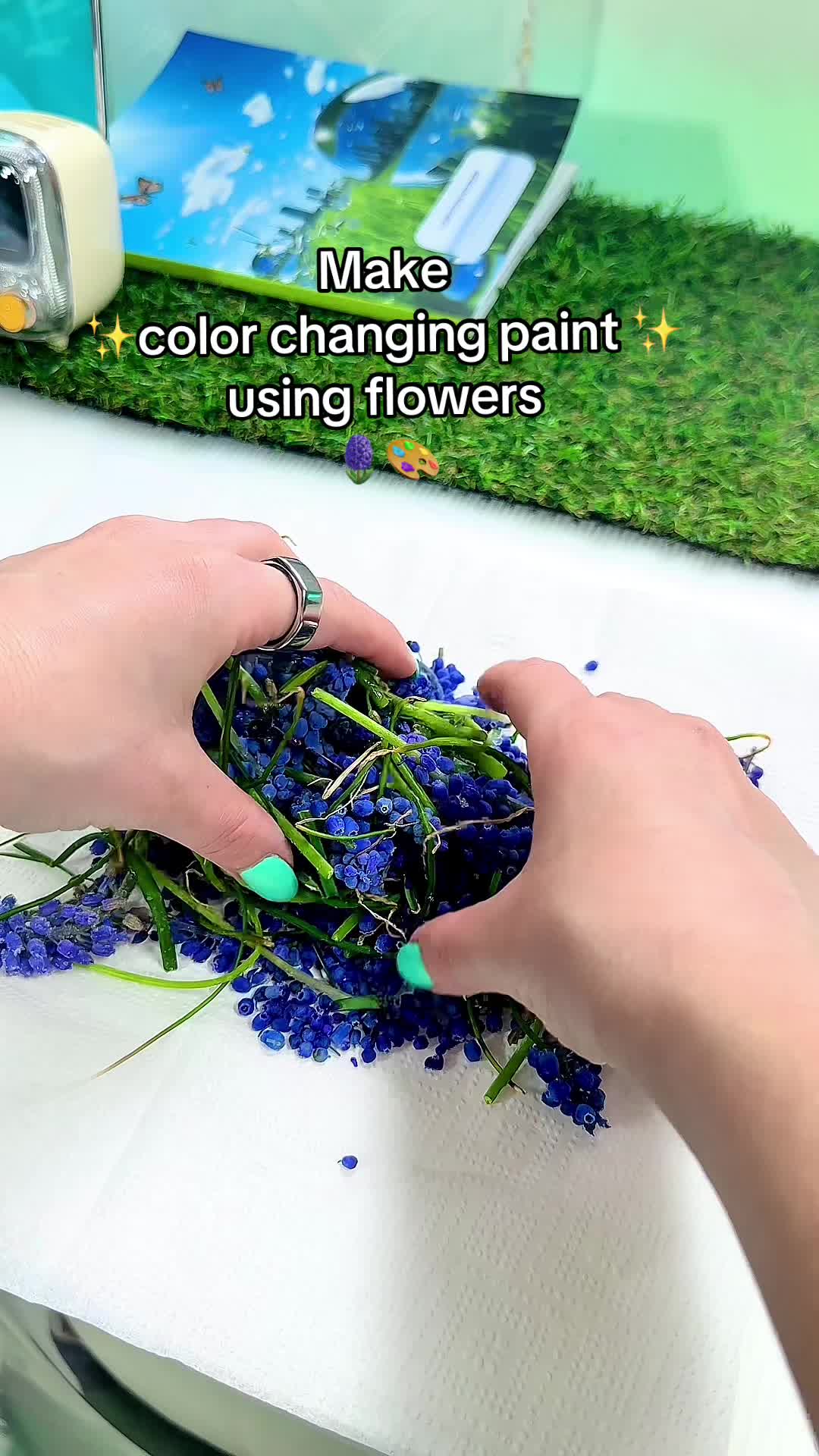 @Alexa