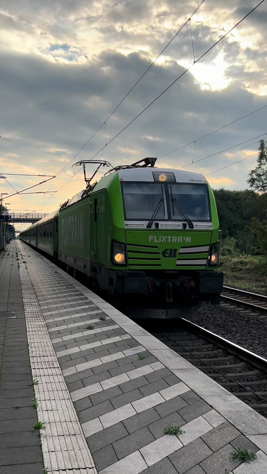 @Trainspotterin_Alina🧃