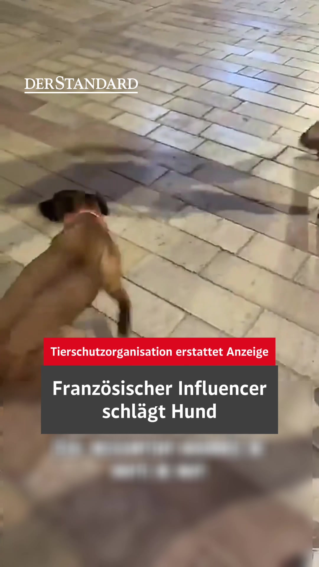 @DER STANDARD News