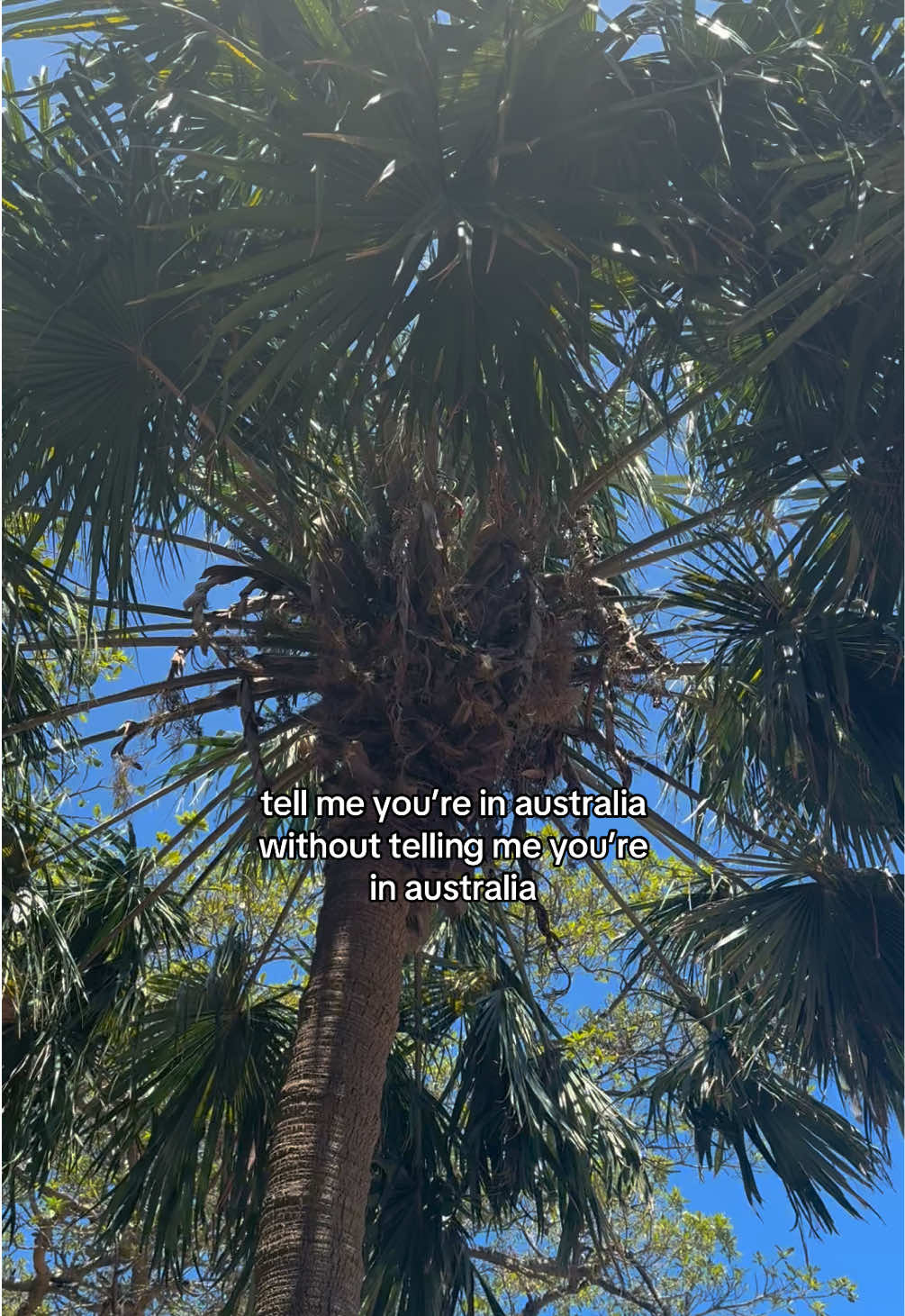 @Emily