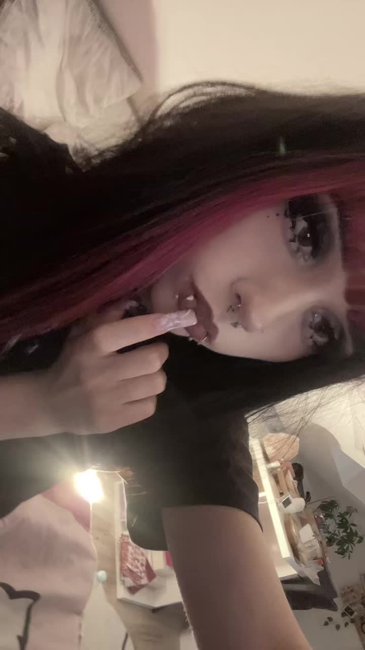 @🐾🐾🐾