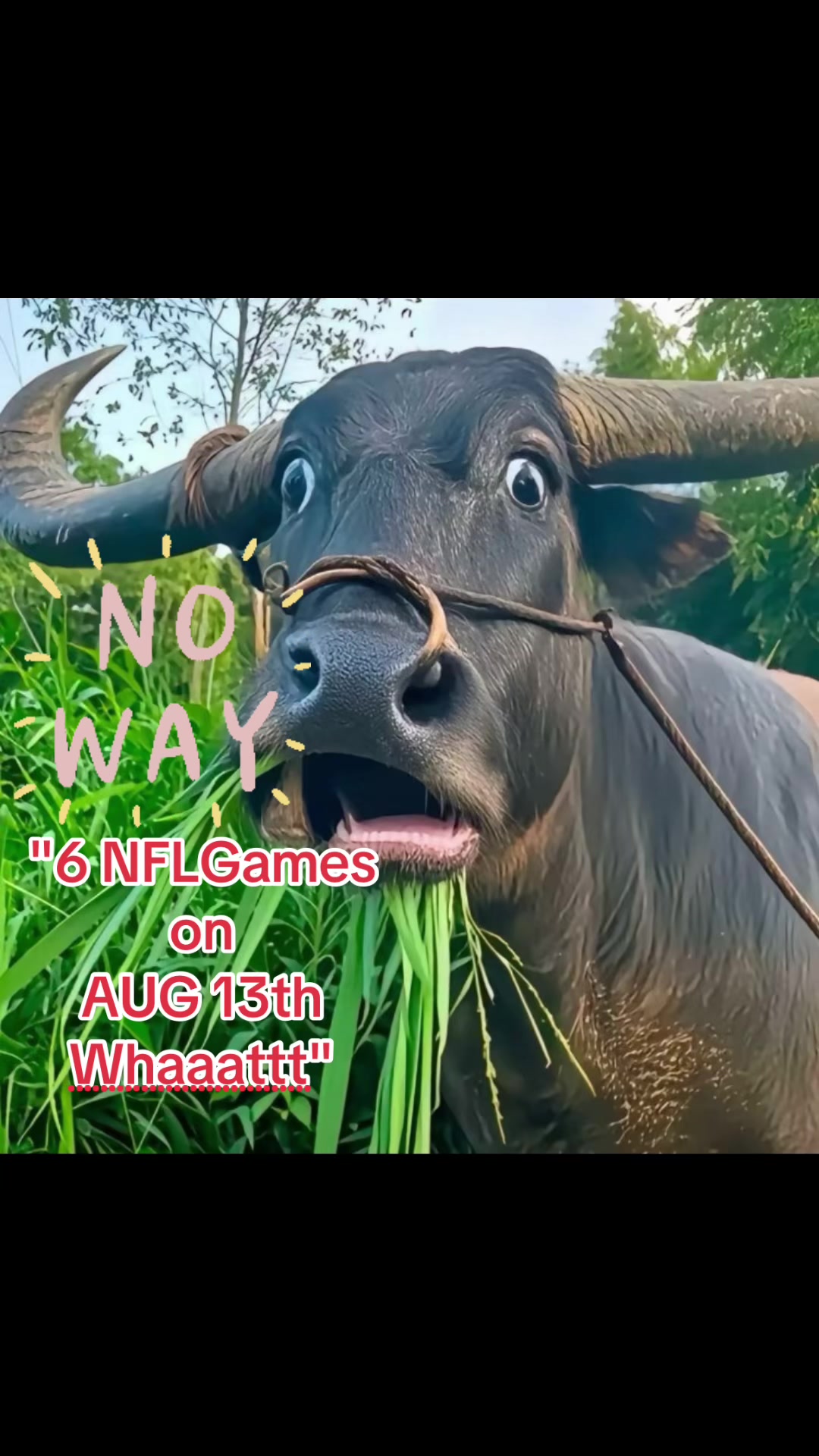 @Captainniners