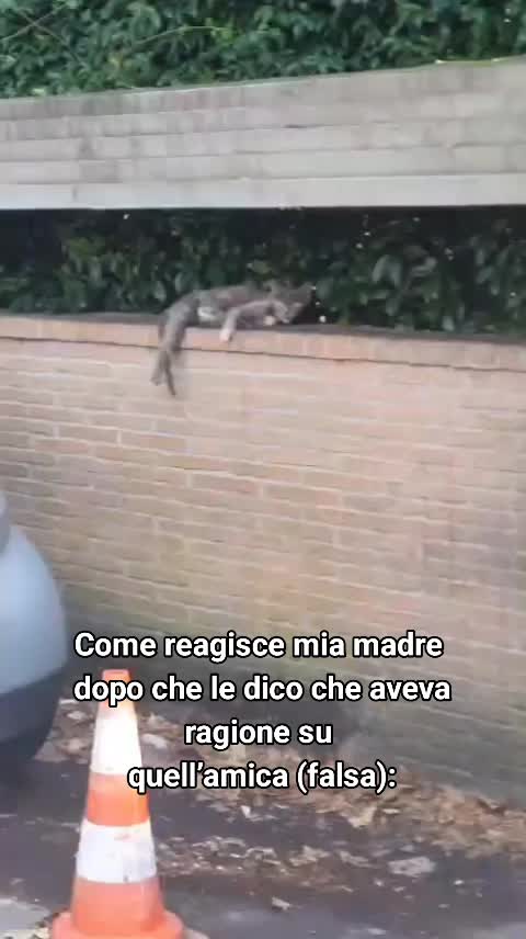 @ELETTRA L'ANIMALISTA