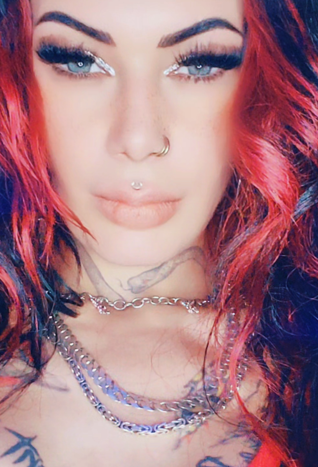 @♤🔥𝔇𝔦𝔟𝔦𝔞𝔫 ℭ𝔞𝔱 666🔥♤
