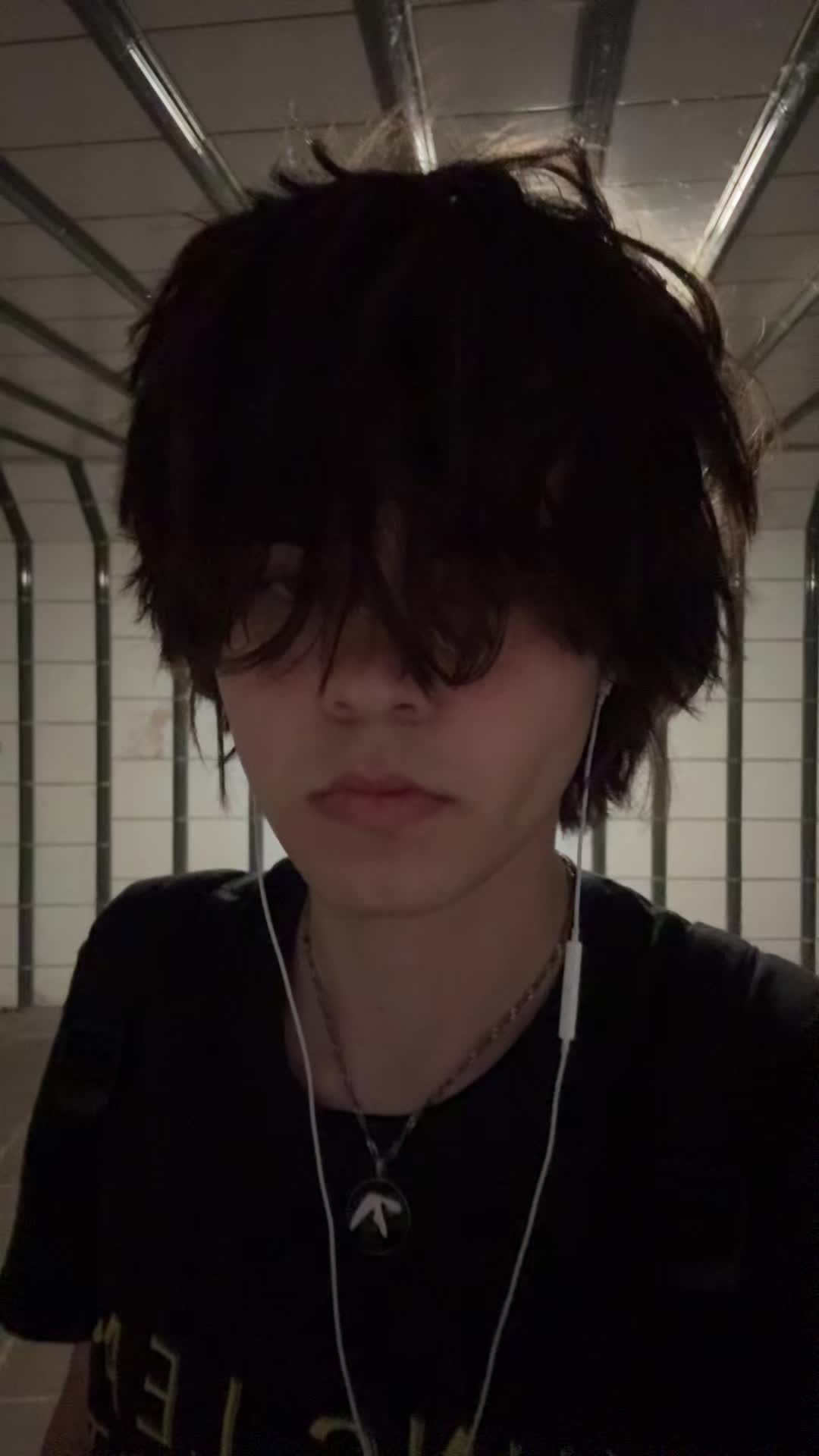 @shicedd