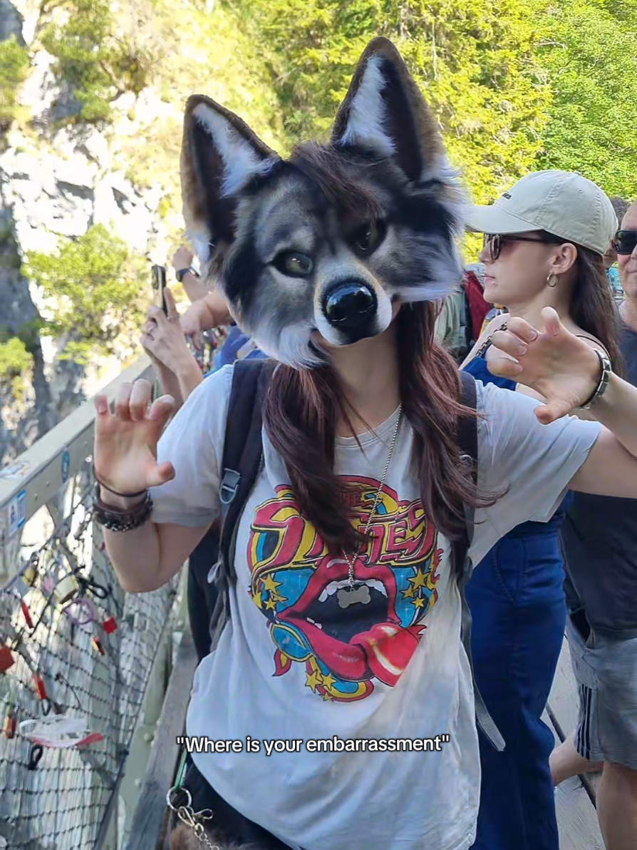 @☆sillydog☆