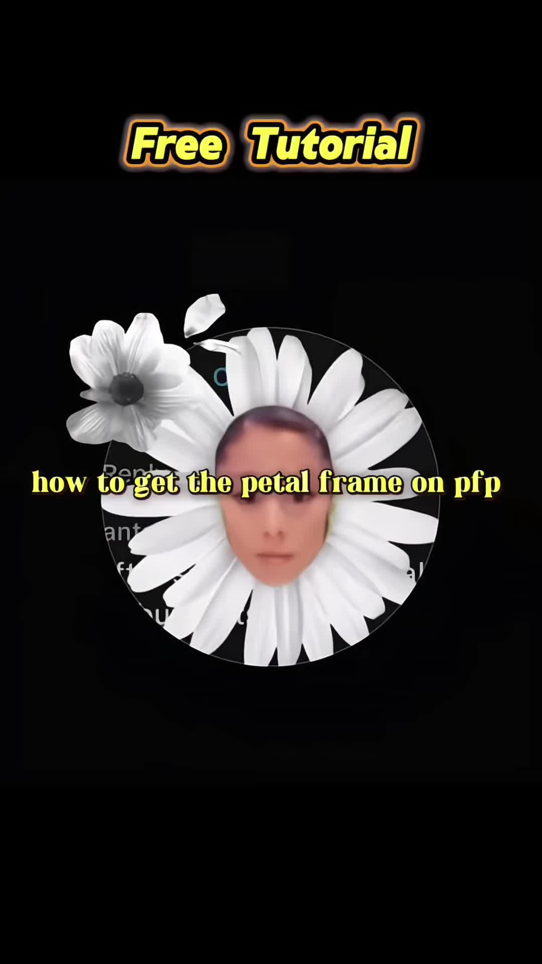 @Pillow moon