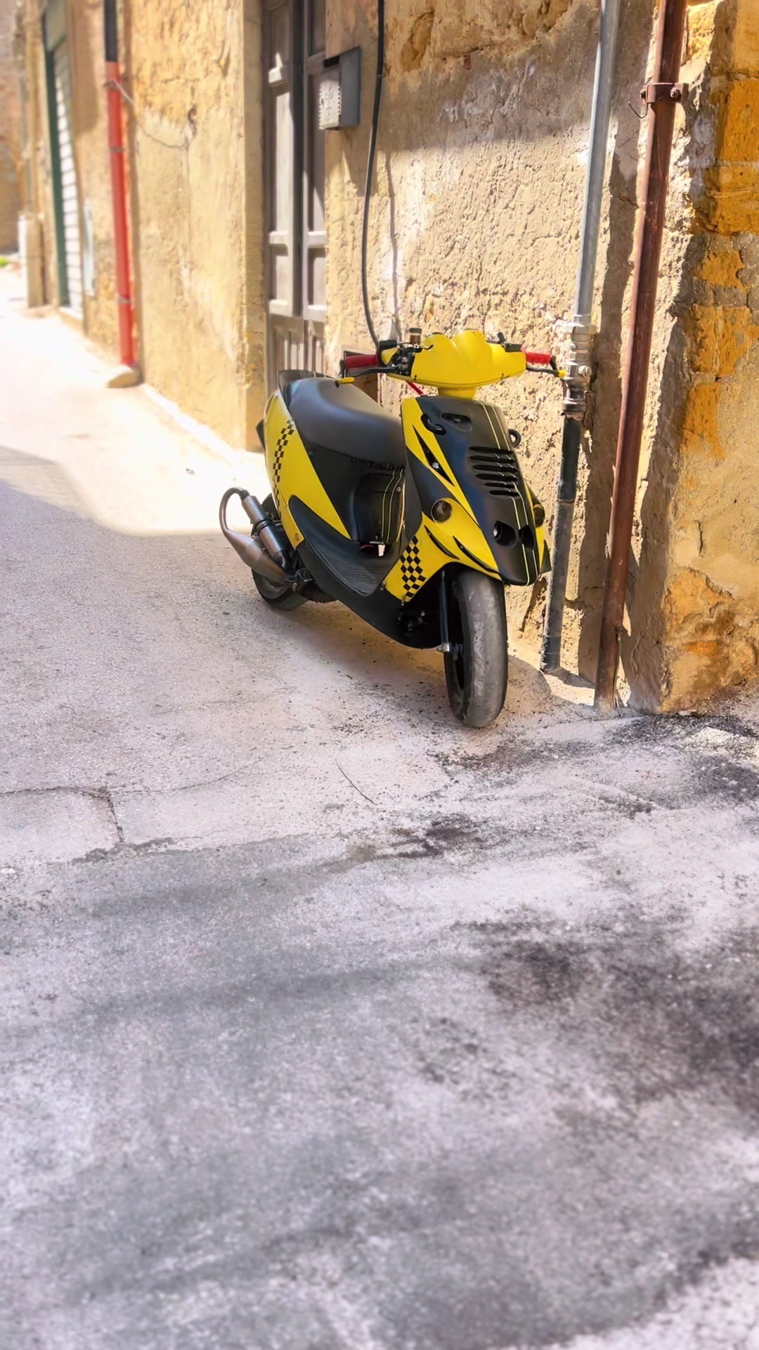 @CanePazzo1994 ( il ritorno )