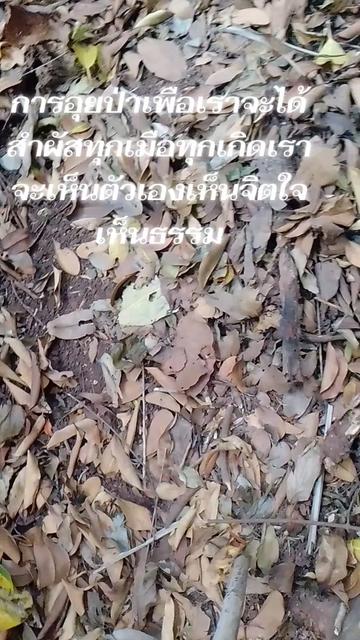 @พระเพิ่มบญบารมี