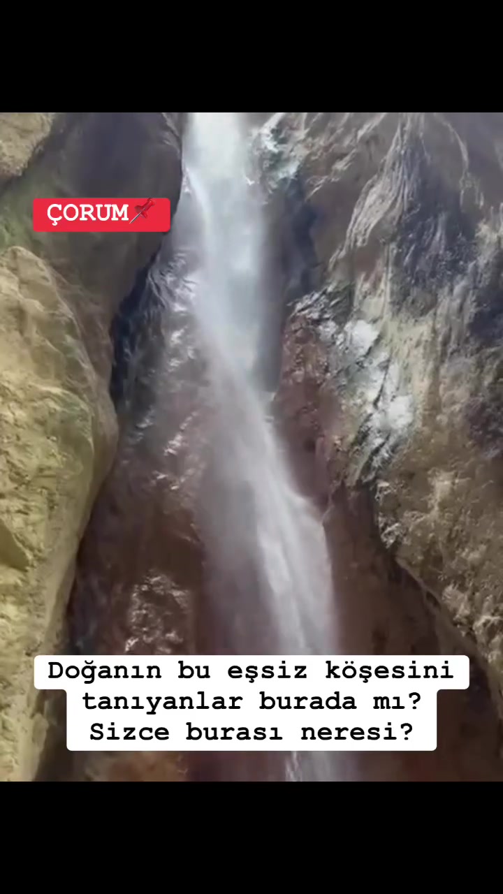 @Avrupadaki_Corumlular_19