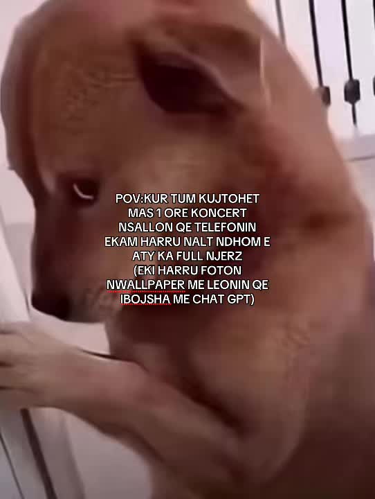 @ᥣᥱ᥆ᥒіs𝗊ᥙᥱᥱᥒ🦢’